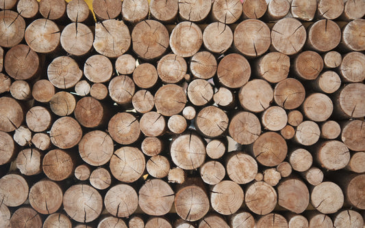 Four Best Types of Wood to Smoke Food